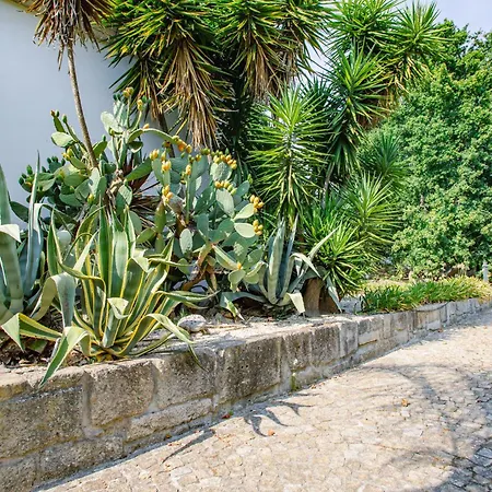 Casa Da Calcada Guest house